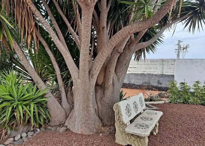 Tenerife Dulcynea With Terrace And Garden 600m2 With Ocean And Teide View איקוד דה לוס וינוס