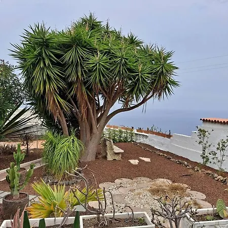Lejlighed Tenerife Dulcynea With Terrace And Garden 600m2 With Ocean And Teide View *