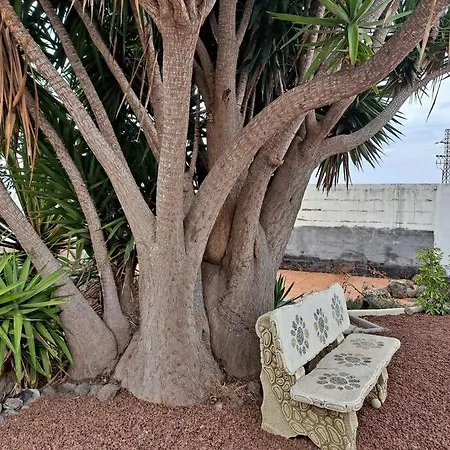 Tenerife Dulcynea With Terrace And Garden 600m2 With Ocean And Teide View Icod De Los Vinos